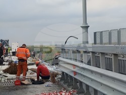 Снимка: АПИ