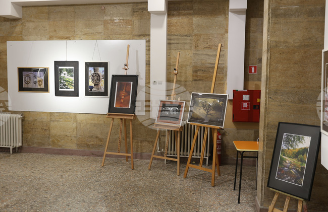 Фотоизложба в Русе представя творчеството на румънския скулптор Константин Брънкуши