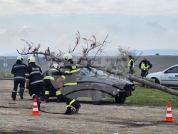 Снимка: Областна администрация – Разград