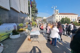 Велико Търново - Световен ден на ходенето - инициатива