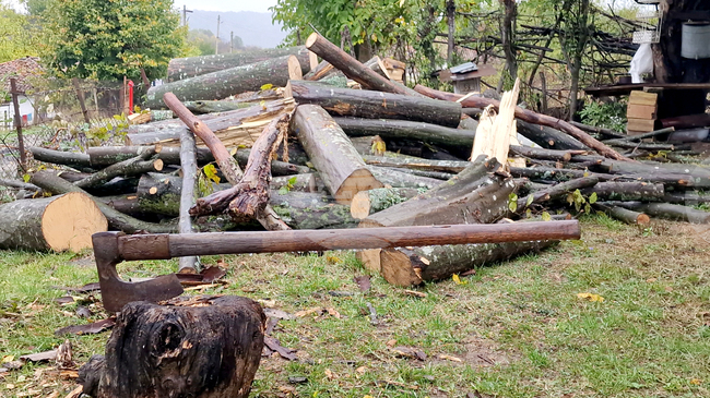 Незаконно добити дърва за огрев са открити в частен имот в Панагюрище, съобщиха от полицията