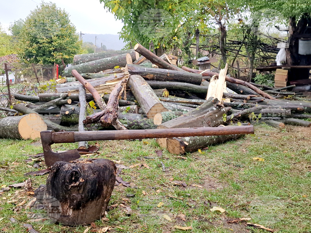 Незаконно добити дърва за огрев са открити в частен имот в Панагюрище, съобщиха от полицията