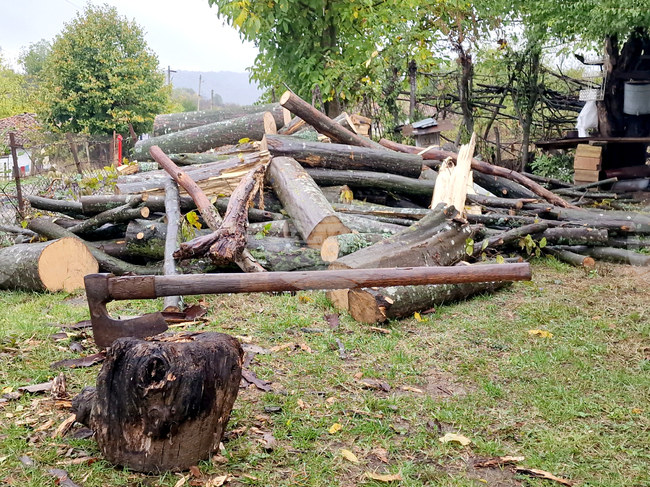Незаконно добити дърва за огрев са открити в частен имот в Панагюрище, съобщиха от полицията