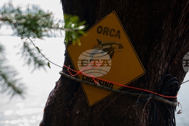 Climate Whale Acoustics