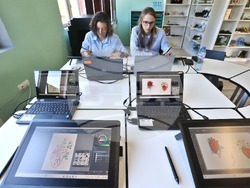 Бъдещи дизайнери усвояват професията в новия STEАM център на Професионалната гимназия "Елисавета Вазова". Снимка: МОН