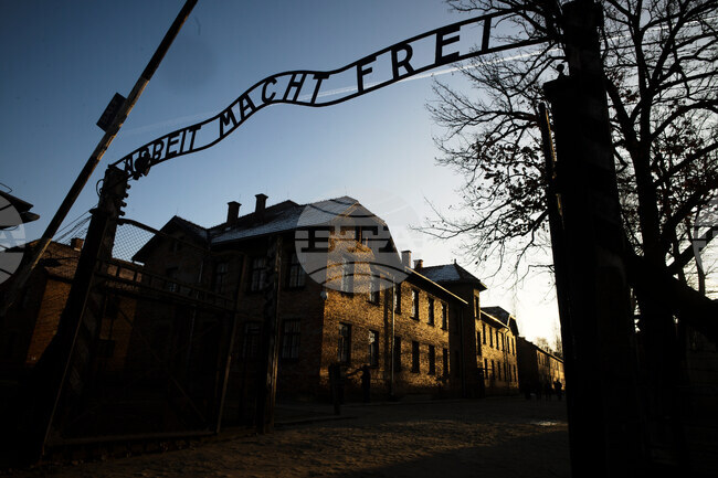 Фондацията "Аушвиц-Биркенау" обяви, че е получила артефактите от бившия концлагер, предвидени за търг в Германия