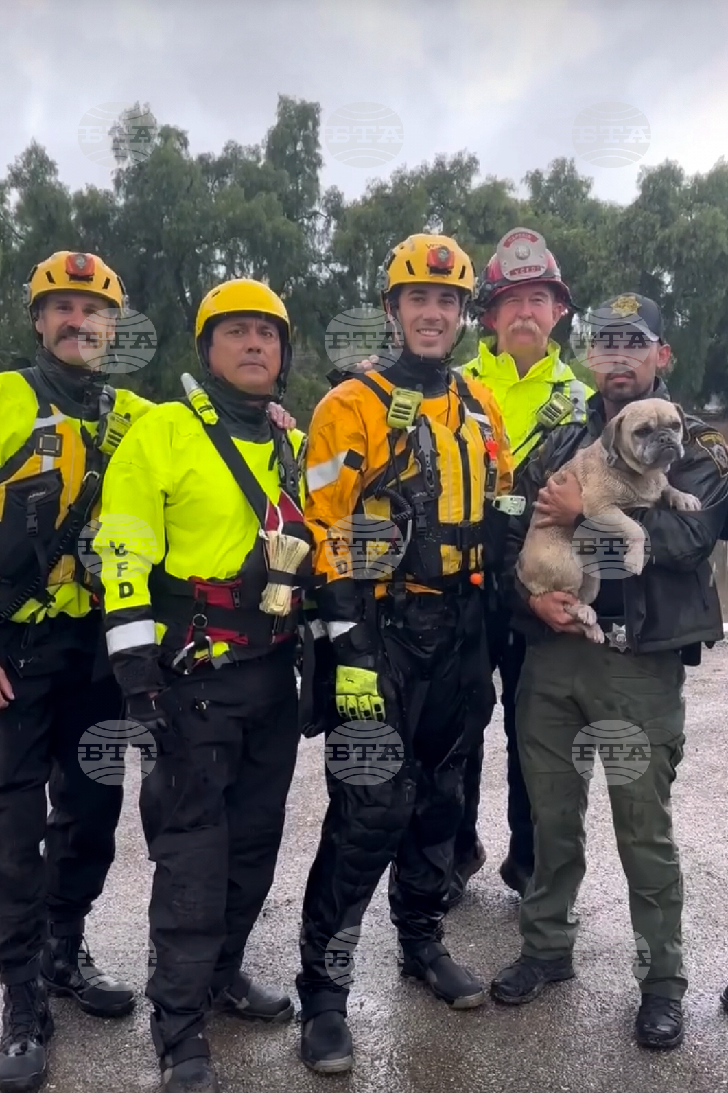 Dog Rescued-California Flooding