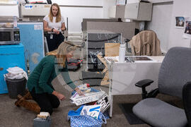 Media Pentagon Rules