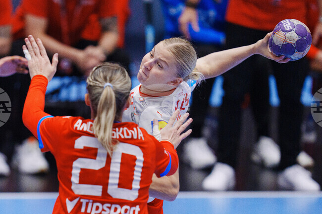 Denmark Handball