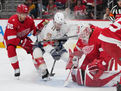 Panthers Red Wings Hockey