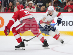 Panthers Red Wings Hockey