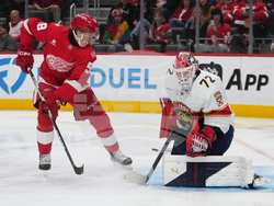 Panthers Red Wings Hockey