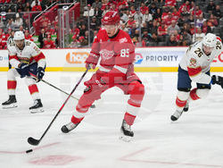 Panthers Red Wings Hockey