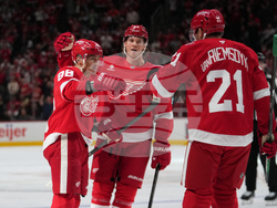 Panthers Red Wings Hockey