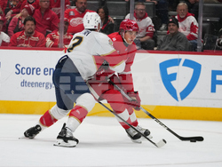 Panthers Red Wings Hockey