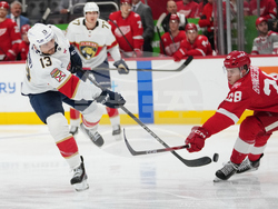 Panthers Red Wings Hockey