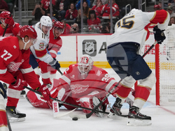 Panthers Red Wings Hockey