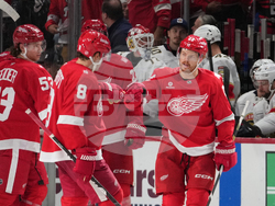 Panthers Red Wings Hockey