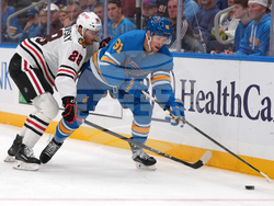 Blackhawks Blues Hockey