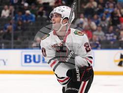 Blackhawks Blues Hockey