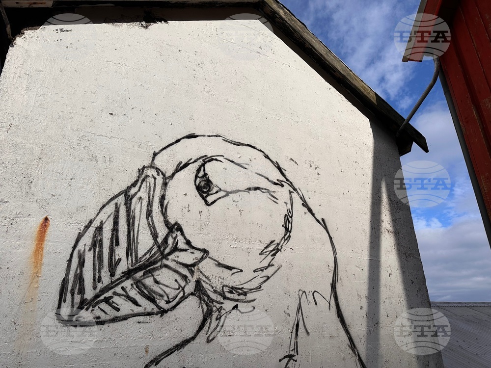 Faroe Islands Travel