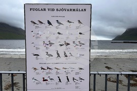 Faroe Islands Travel