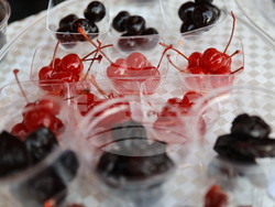 Пловдив - Третото издание на инициативата "Кариерен навигатор"