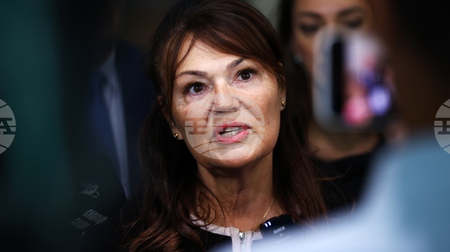 Karlovo Council Has Not Debated Rheinmetall Factory Project, Velichie MP