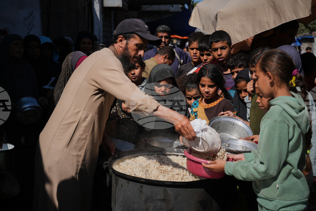 Нуждите на Газа от храна все още не са удовлетворени, съобщи Световната програма по прехраната на ООН