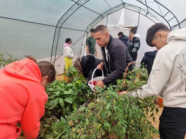 Гимназията по туризъм в Ямбол представи първите биопродукти, отгледани в училищната оранжерия