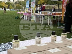 Снимка: Американски университет в България