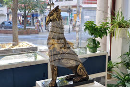 Хасково - изложба - Радостин Дамасков