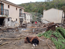 Ваканционно селище „Елените“ - обстановка