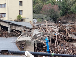 Ваканционно селище „Елените“ - обстановка