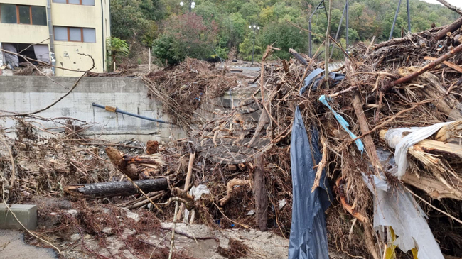 Drinking Water in Elinite Resorts Deviates from Quality Standards