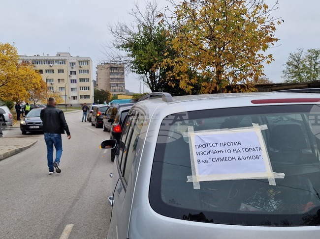 Жители на Свищов организираха протестно автошествие срещу изсичането на гора