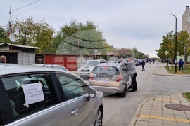 Свищов - автошествие срещу изсичането на гората