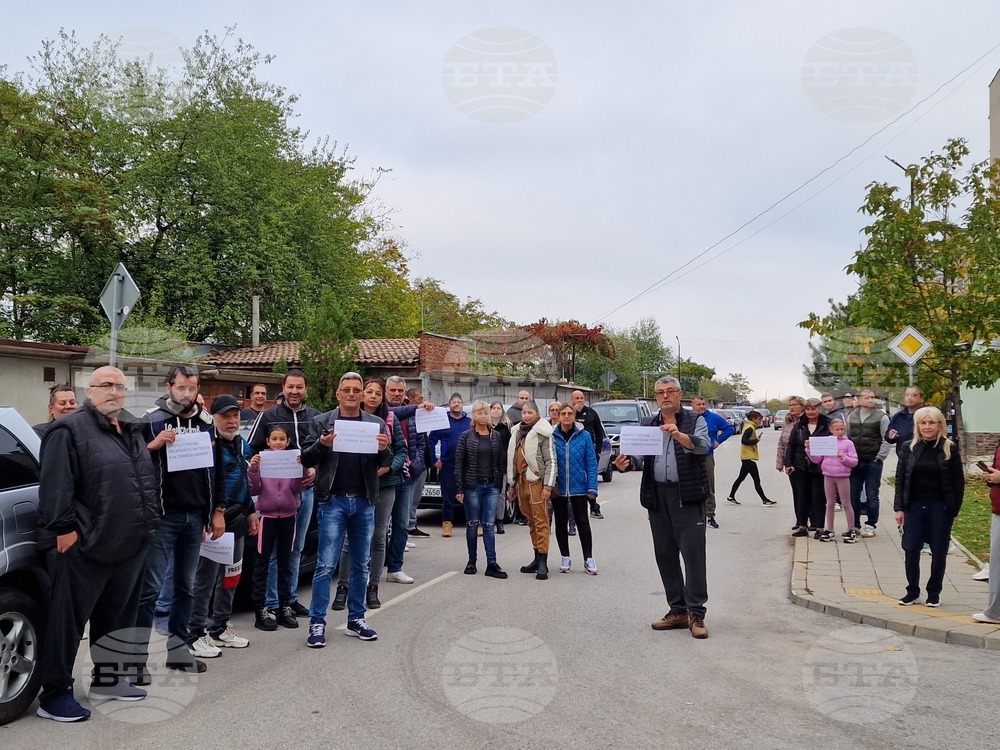 Свищов - автошествие срещу изсичането на гората