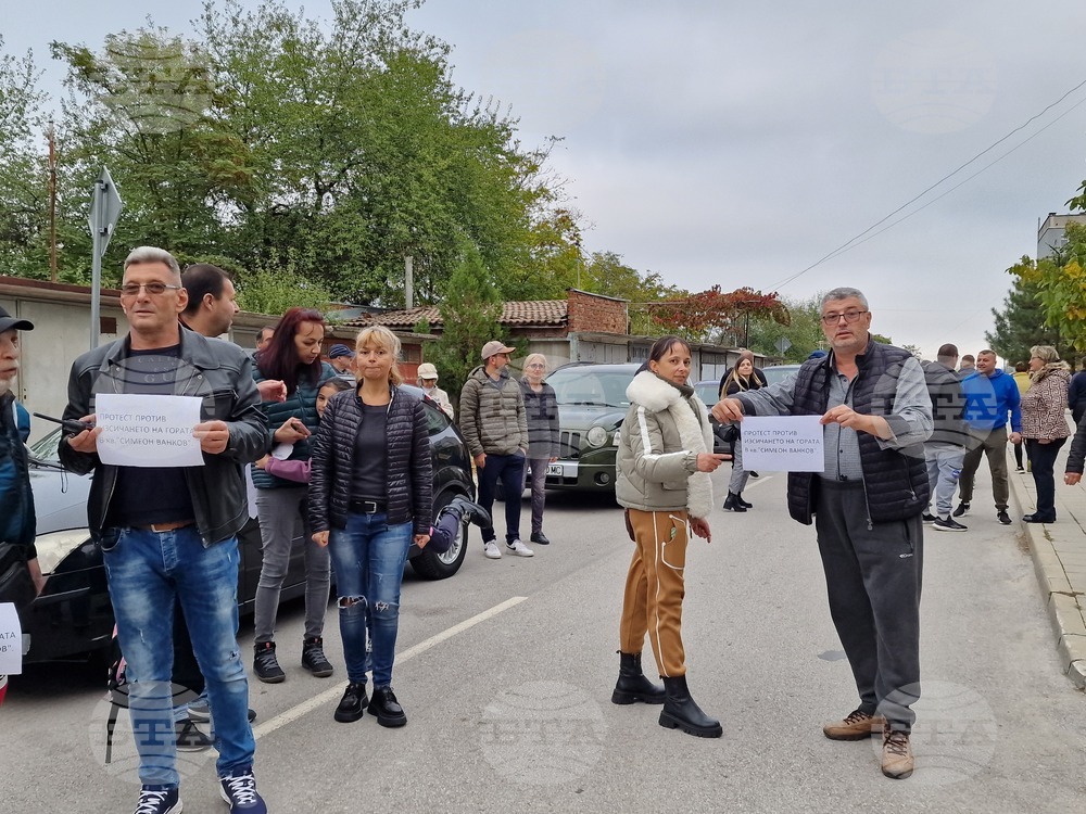 Свищов - автошествие срещу изсичането на гората