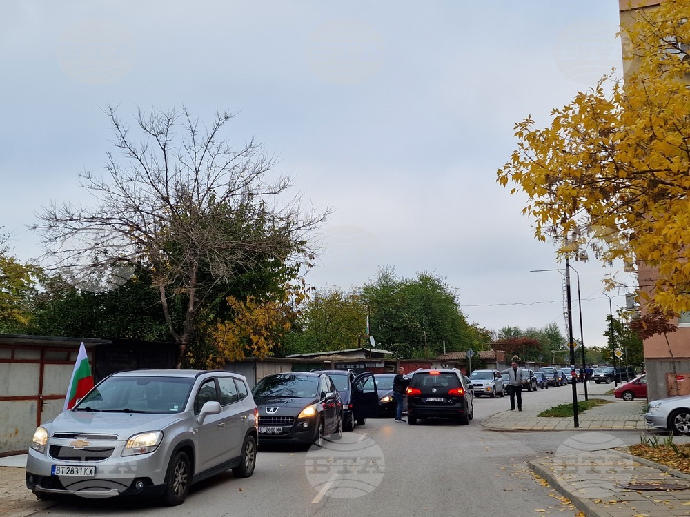 Свищов - автошествие срещу изсичането на гората