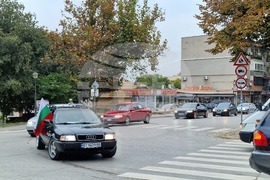 Свищов - автошествие срещу изсичането на гората