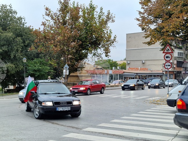 Свищов - автошествие срещу изсичането на гората