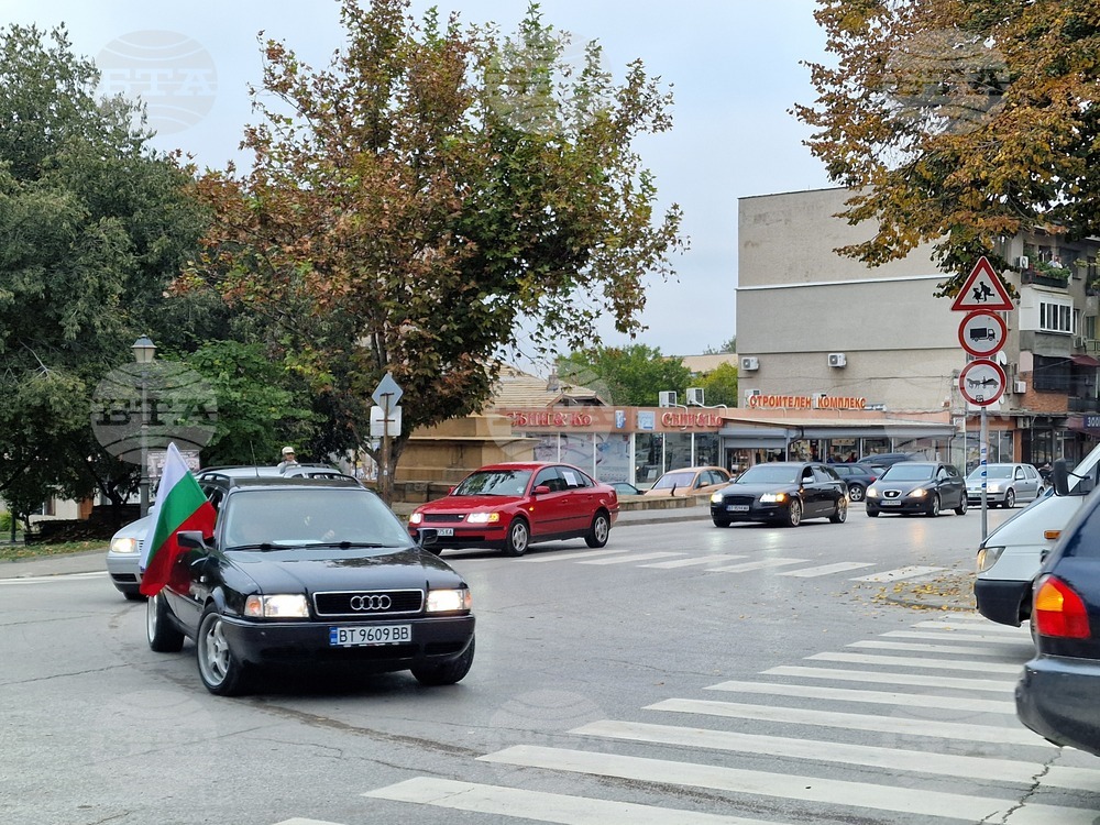 Свищов - автошествие срещу изсичането на гората