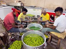 India Hindu Festival