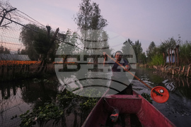 Mexico Day of the Dead