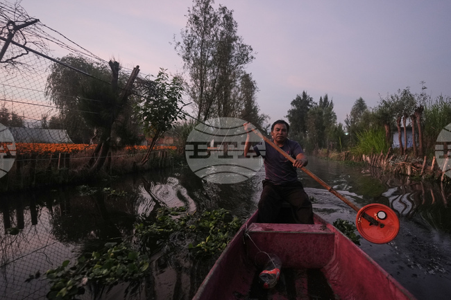 Mexico Day of the Dead