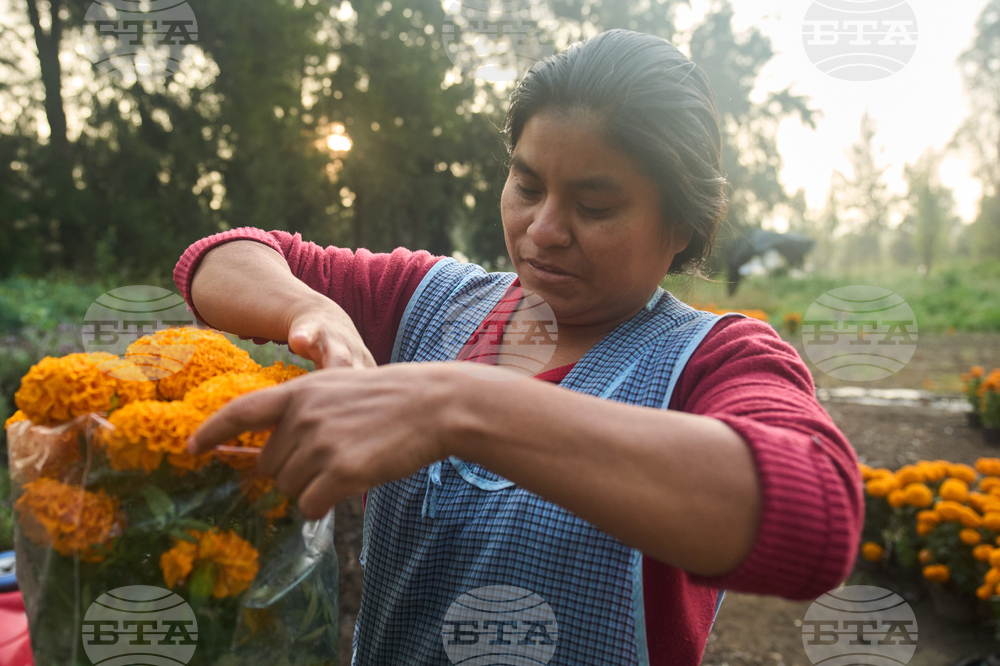 Mexico Day of the Dead