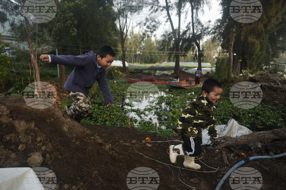 Mexico Day of the Dead