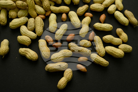 Peanut Allergy