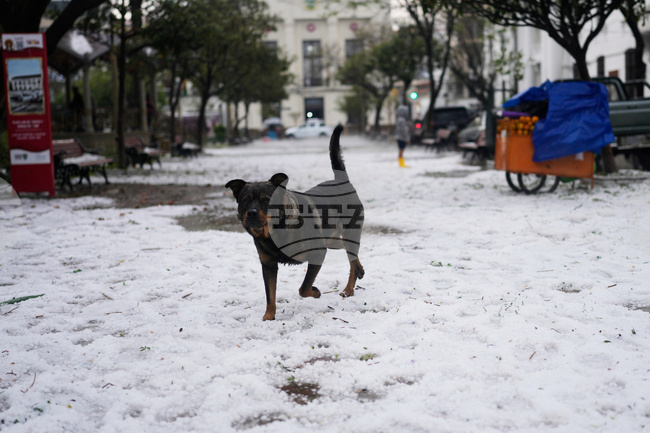 Bolivia Extreme Weather Hailstorm